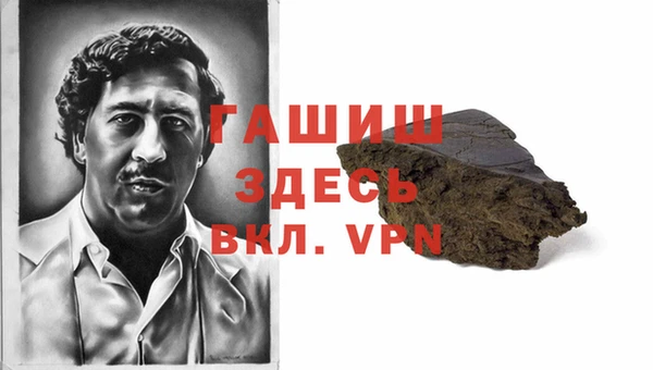индика Гусиноозёрск