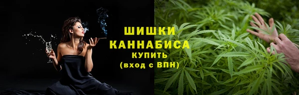 индика Гусиноозёрск