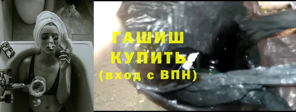 индика Гусиноозёрск