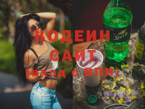 индика Гусиноозёрск