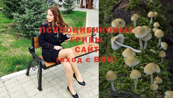метадон Гусев