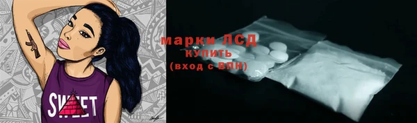 индика Гусиноозёрск