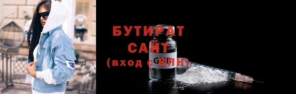 индика Гусиноозёрск