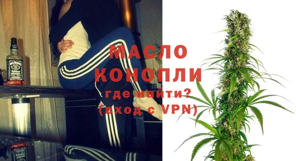 индика Гусиноозёрск