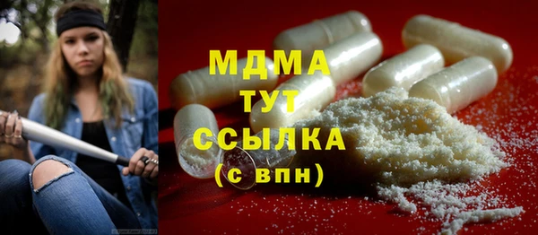 индика Гусиноозёрск