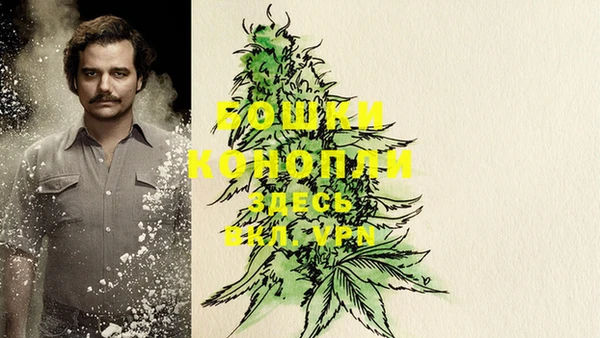 индика Гусиноозёрск