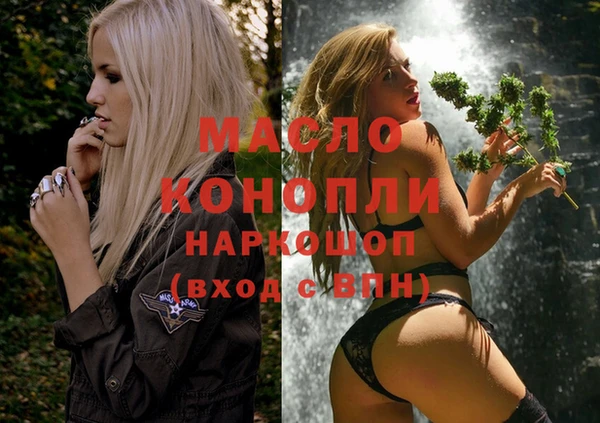 метадон Гусев