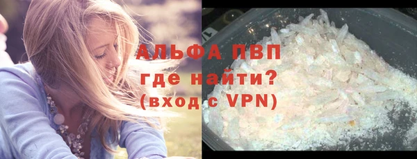 индика Гусиноозёрск