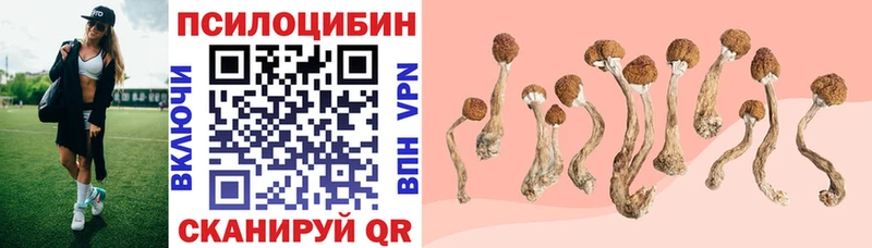 Галлюциногенные грибы Psilocybine cubensis  Евпатория 